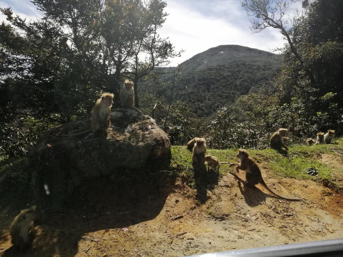 Aerizo Bungalow & Tours Nuwara Eliya Eksteriør bilde